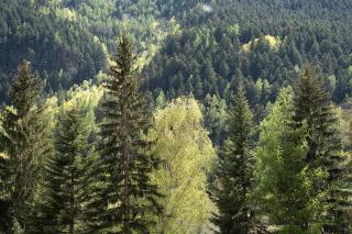 Alta Valle Maira C - 6