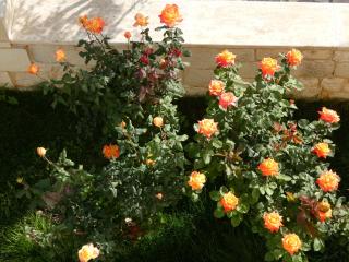 Mel Studio 2 (kalamaki) - 4