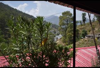 The wings nature resort - Barkot - 9