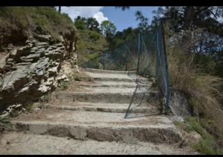 The wings nature resort - Barkot - 3