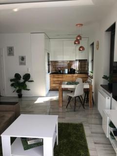 Solankowe Zacisze Botanica Inowrocław - 7