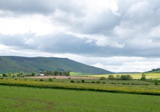 The Old Stable - Milfield - 5