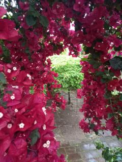 Gran Hotel Concordia - 4