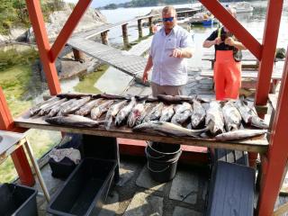 Leilighet Vikaparken Hardangerfjord - 8