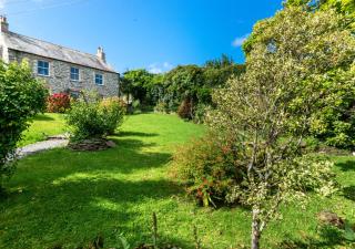St Teresas Cottage - Saint Mawgan - 5