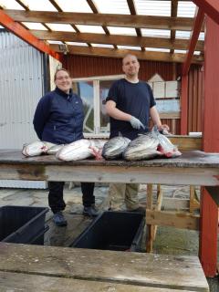 Leilighet Vikaparken Hardangerfjord - 1