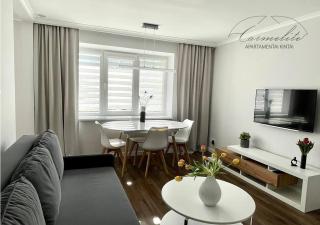 Kintai Carmelite apartment - Kintai - 3