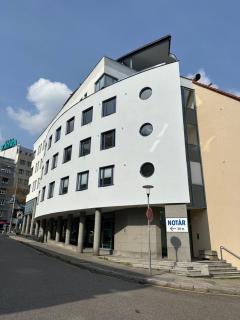 Next to the Presidential Palace - 1