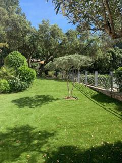 Studio en rez-de-jardin arboré avec accès piscine et clim - Villeneuve-lès-Avignon - 8