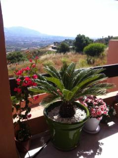 Marbella Luxury Apartment La Maïrena - Marbella - 4