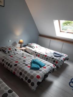 Les Aulnays - Arnage - 1