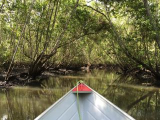 OITI by Barracuda - Itacaré - 1