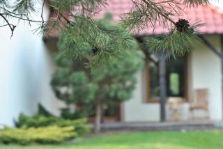 Apartament WITA - Niemcz - 9