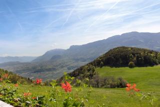 Moar im Rumsein - Apt Etschblick - San Genesio Atesino - 1