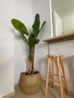 Villa Tropical a 2 minutos del Faro de Chipiona - 2