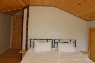 Gallery - 5