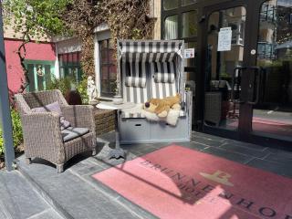 Hotel Brunnenhof - Bad Nauheim - 2