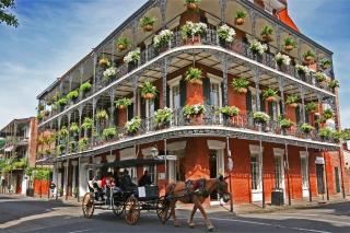 Roami at Factors Row - New Orleans - 7