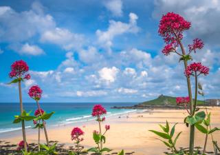 Blue Horizon - 1