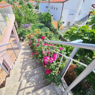 Apartman Anchor 2 - Pakoštane - 1