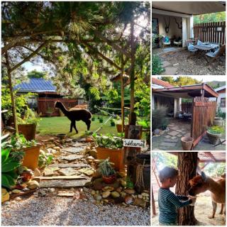 Alpaca Self Catering Cottage Kleinmond - Kleinmond - 0