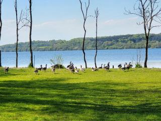 Sommerhus ved Mossø med søkig - 3