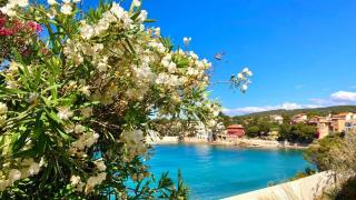 Superbe appartement en bord de mer - Bandol - 0