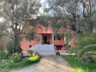 Olive Garden - Lefkada - 0