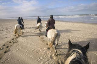 Maison indépendante de vacances HARDELOT PLAGE - 6