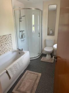 The Nest - Belfast - 1