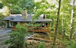 Lakeside Mountain Oasis - 3 Bedroom Cabin with Outdoor Hot Tub - Topton - 9