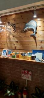 palmsプライベートプール,ミニビリヤード海と星空見える96平米 BBQ台 P2台分無料 wii WiFi - Isola di Ishigaki - 4