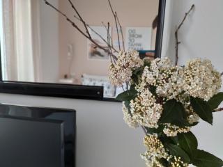 DolceVita Home - Civitanova Marche - 8