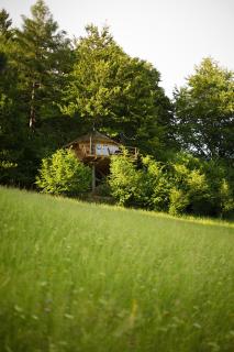Wild House Donovaly - 9