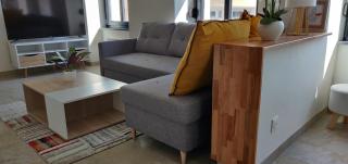 Le Cygne, appartement de standing en hyper-centre - Sarreguemines - 1