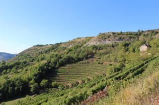 Domaine d'Exception, Maison d'artiste - 8