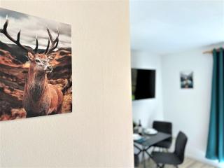 COZY Apartment in Bavarian Forest +POOL +SAUNA +NETFLIX - Zwiesel - 4