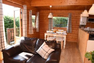 Tawny Owl Lodge - Rhayader - 8