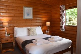 Tawny Owl Lodge - Rhayader - 1