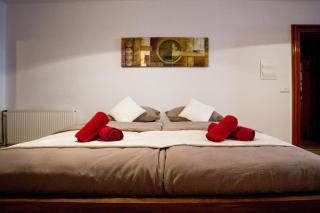 Apartmán Mariánská 5 - Olmütz - 5