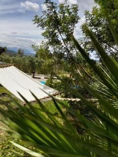 Agriturismo Palas De Serra Country Resort - Onifai - 4