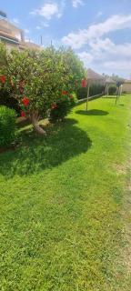 Bungalow avec piscine - Torrevieja - 6