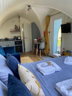 Cwt y Gwenyn Glamping Pod - Conwy - 5