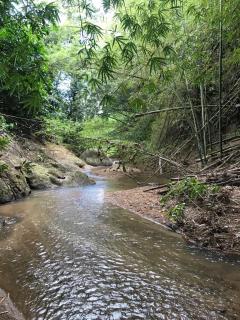 Jubilee Campsite Swim & Paint - Las Piedras - 3