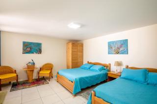 Serene by the Sea - Savaneta - 5