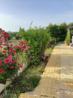 Helen's cozy studio (close to the airport) - Koropi - 3