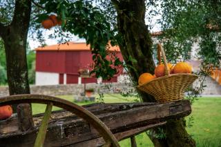Quinta de Chousas - Braga - Agroturismo - Braga - 7