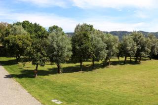 Quinta de Chousas - Braga - Agroturismo - 2