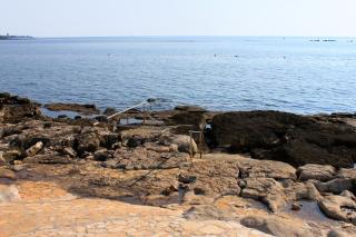 Apartments with parking space Zambratija, Umag - 21176 - Savudrija - 9