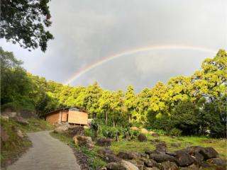 Kumage-gun - Glamping - Vacation STAY 73083v - Yakushima - 9